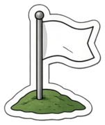 Boundary Flag