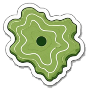 Contour Polygon