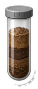 Soil Core Sample