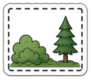 Vegetation Plot